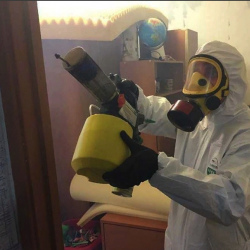 Уничтожение клопов в квартире. Снежногорск